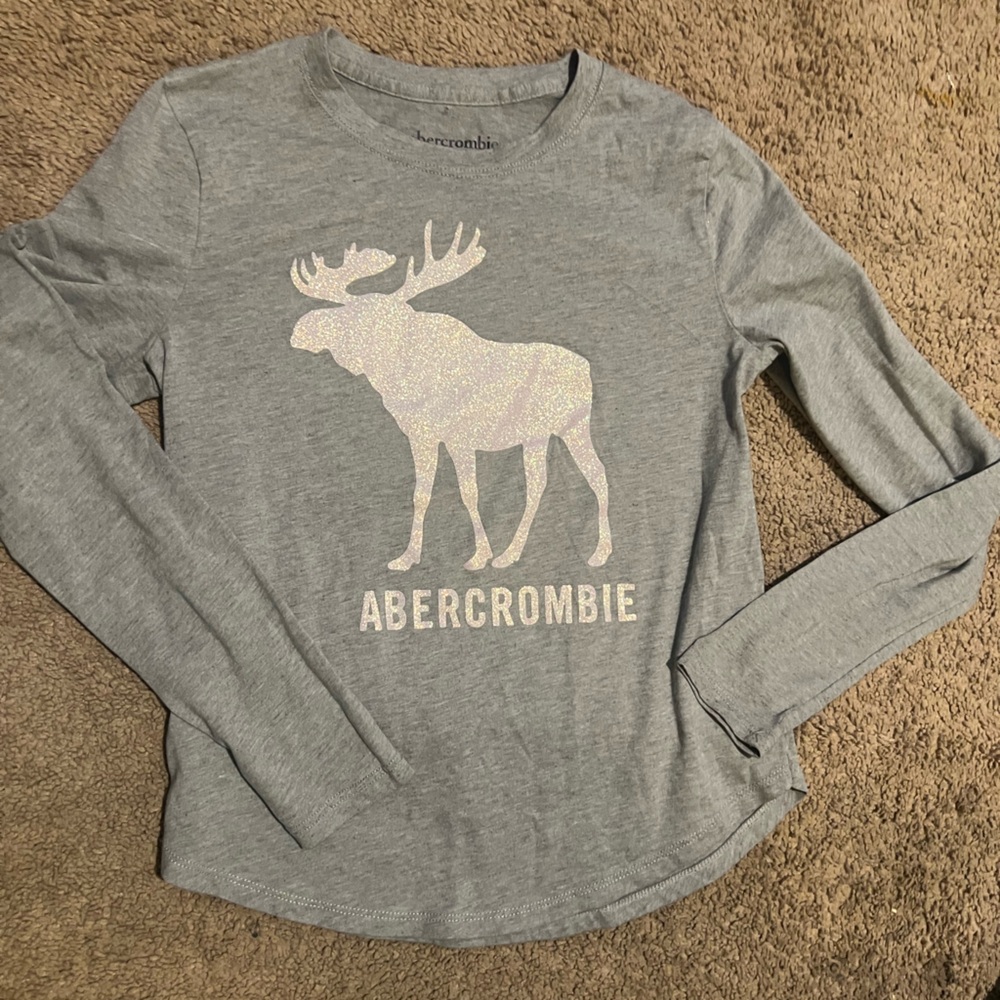 Abercrombie & Fitch Gray Long Sleeve Tee with Moose Graphic